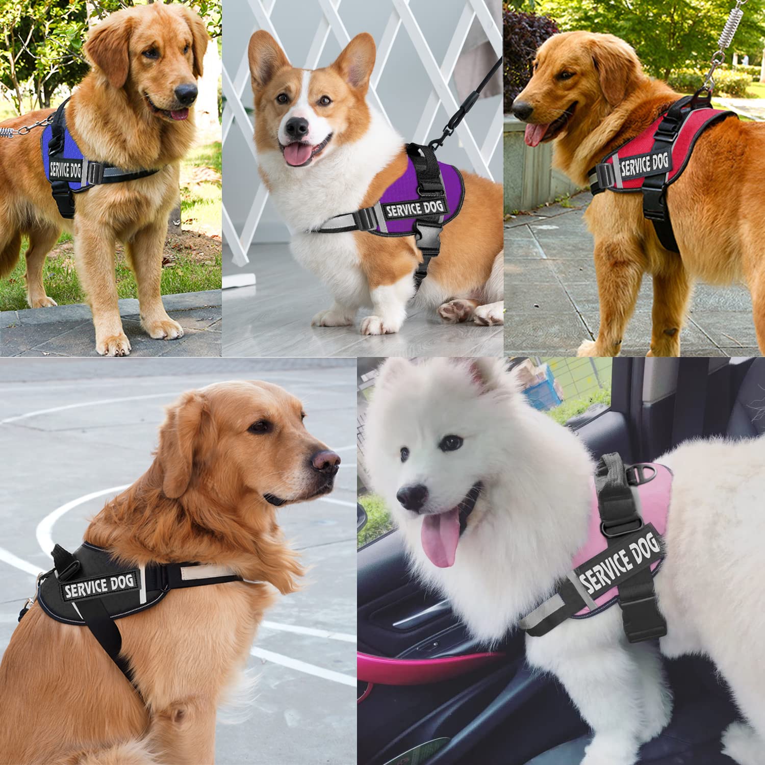 JSXD dog harness size guide helps find the right fit.