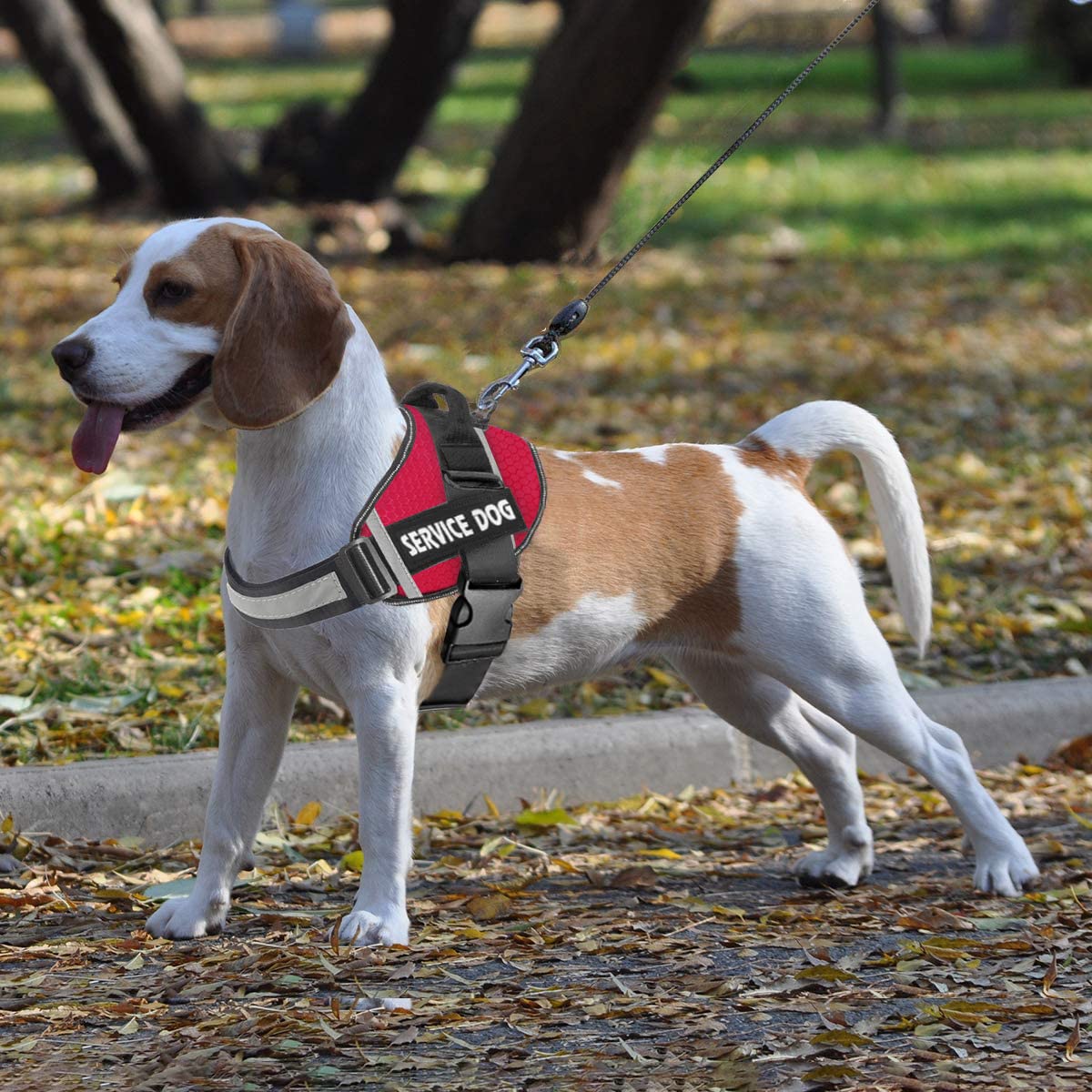 JSXD dog harness size chart helps find XS to XXL fit