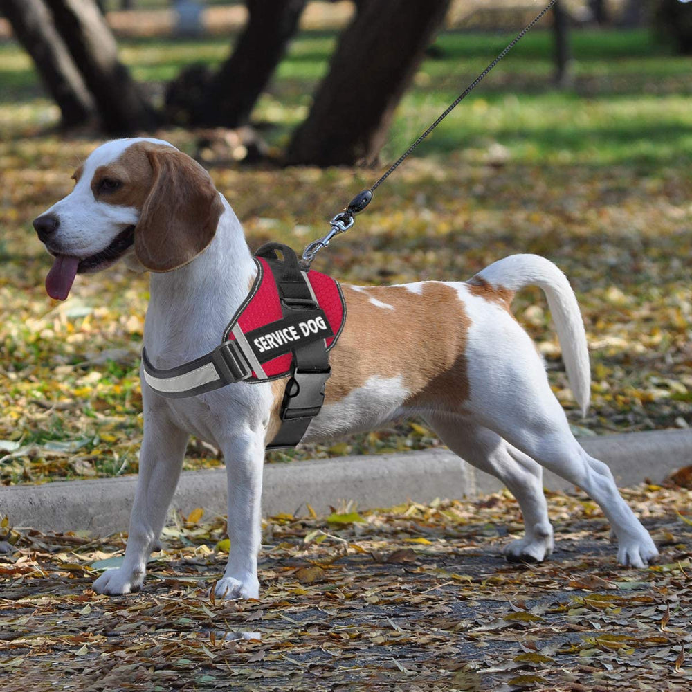 JSXD dog harness size chart helps find XS to XXL fit