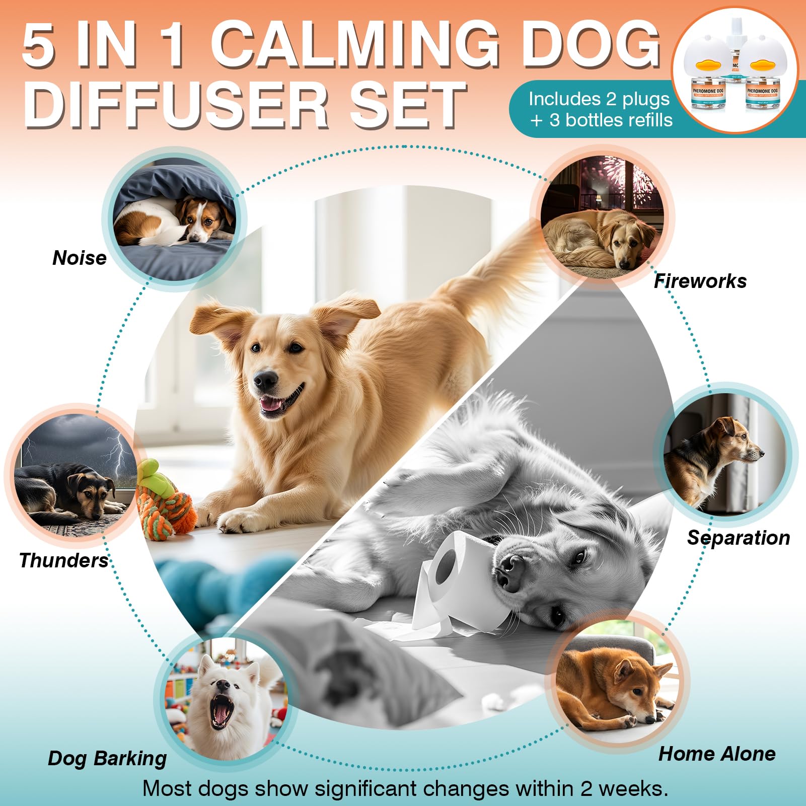 JTEWZX dog calming diffuser use scene shows peaceful home environment