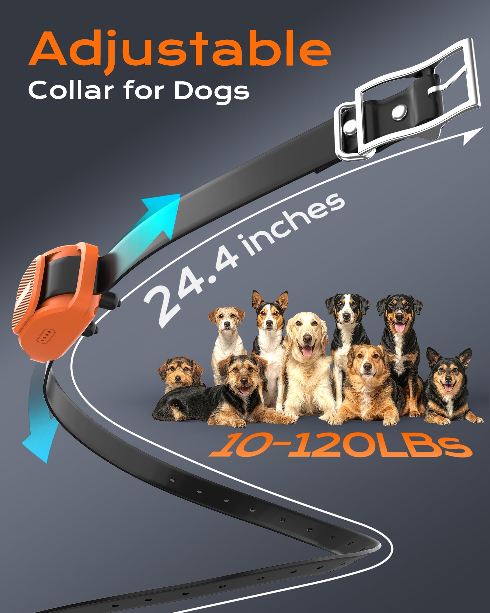 Jugbow 4200ft range collar enables effective training in parks and yards.