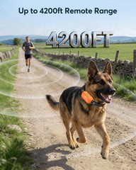 Jugbow adjustable-neck collar adapting to many dogs for daily training