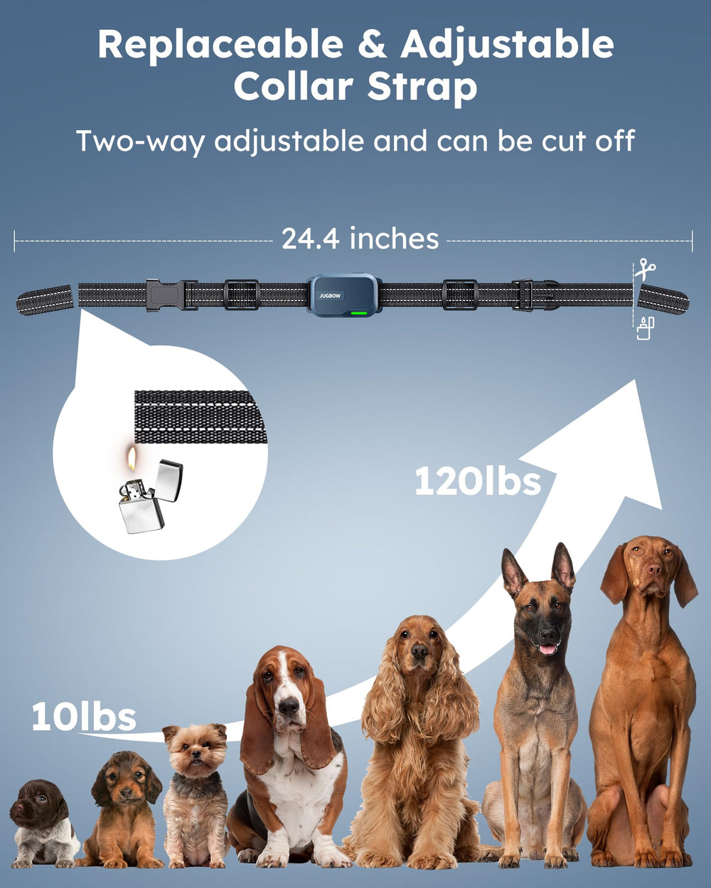 Jugbow dog collar adjustable strap fits dogs of various sizes.