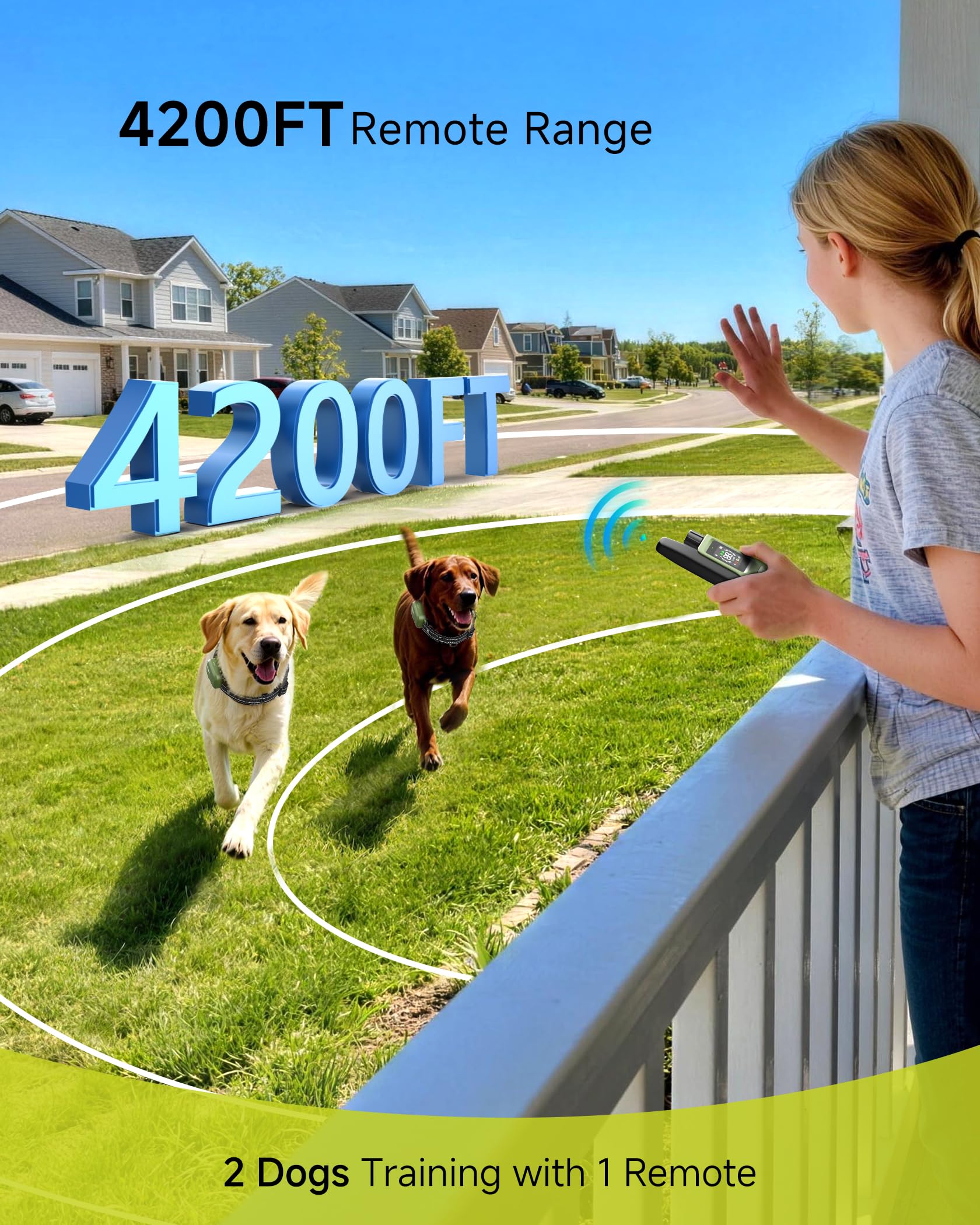 Jugbow non-shock option converts to gentle training for sensitive dogs.