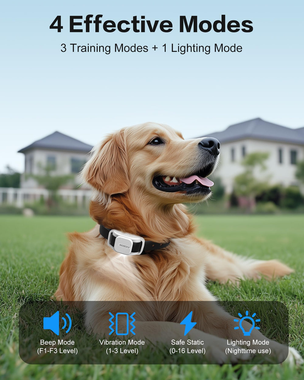Jugbow IPX8 waterproof dog collar ready for all weather use.