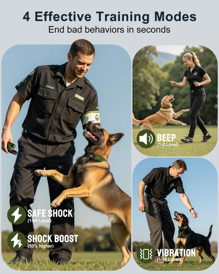 Jugbow IPX8 waterproof dog collar built for training in rain or water.