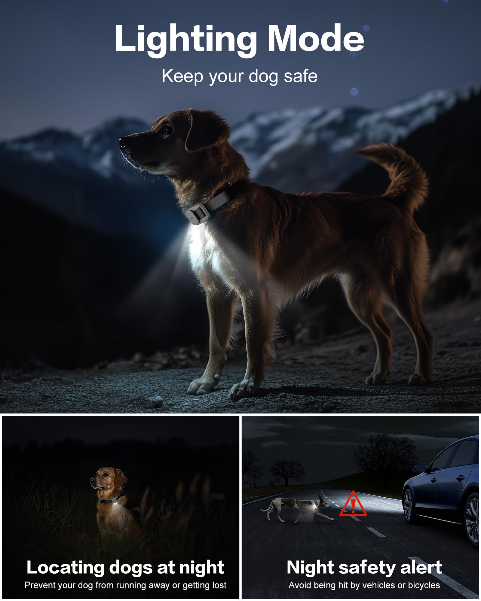 Jugbow LED light on collar helps locate your dog at night.