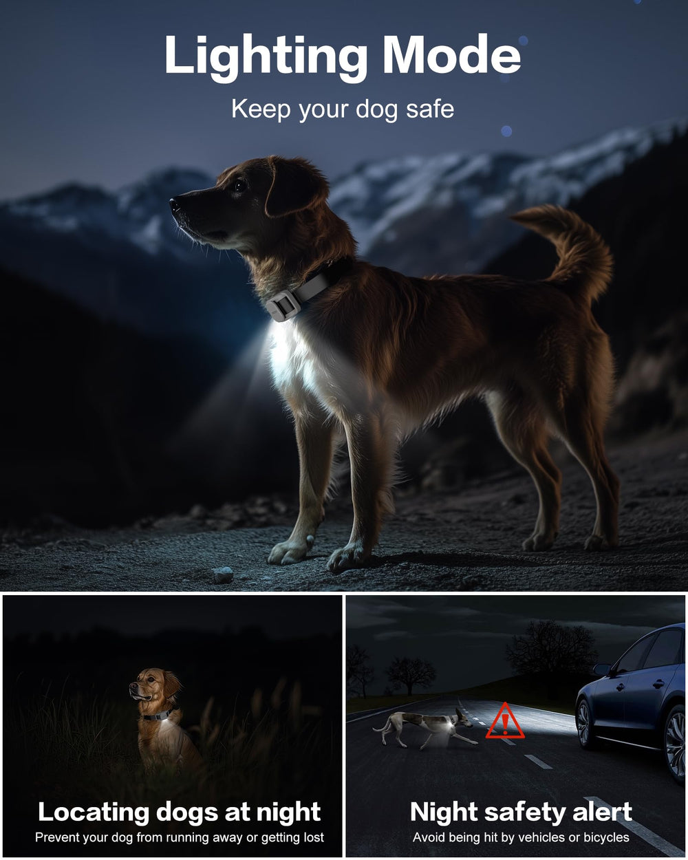 Jugbow LED light on collar helps locate your dog at night.