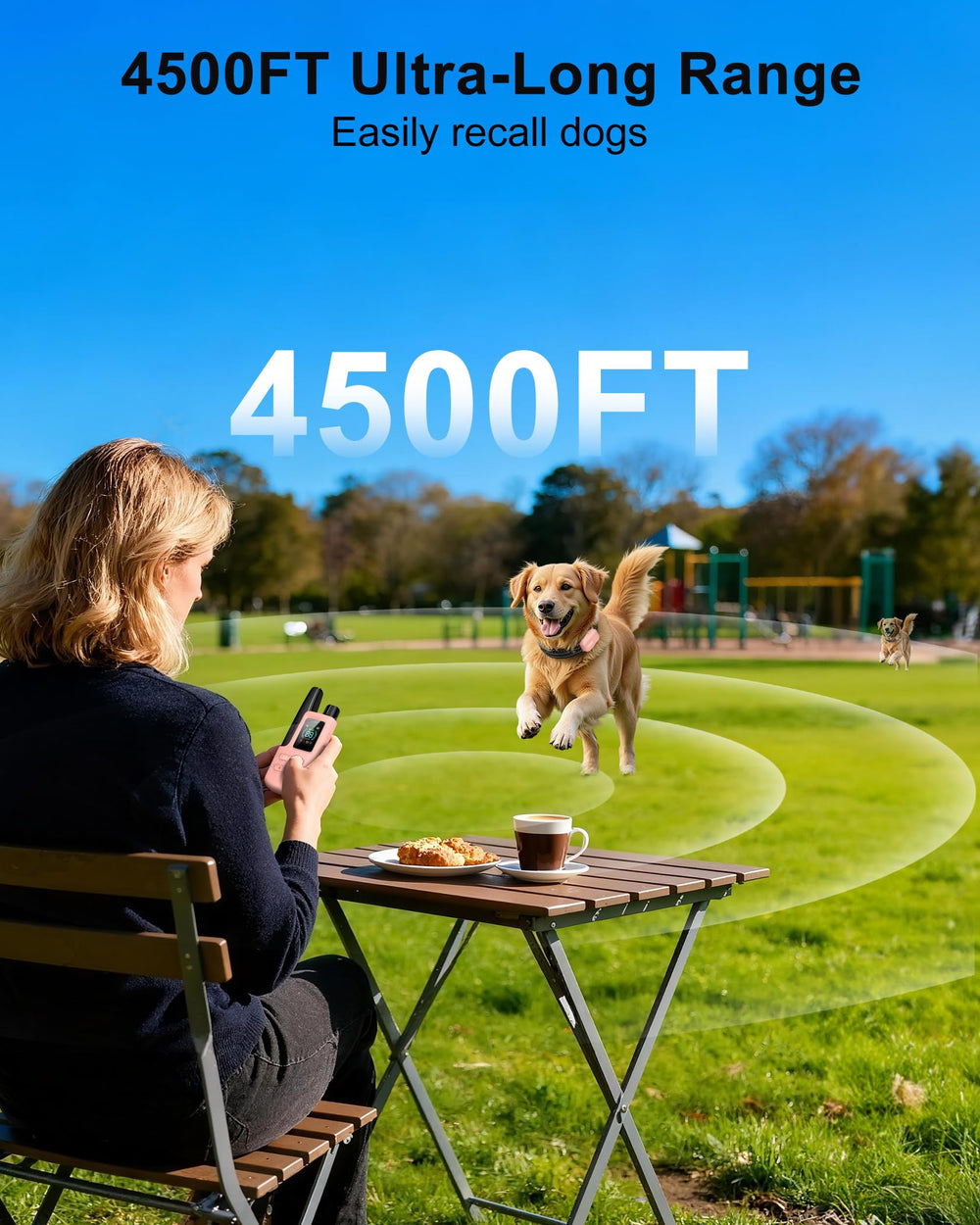 Jugbow dog shock collar demonstrates four training modes for precise behavior shaping.