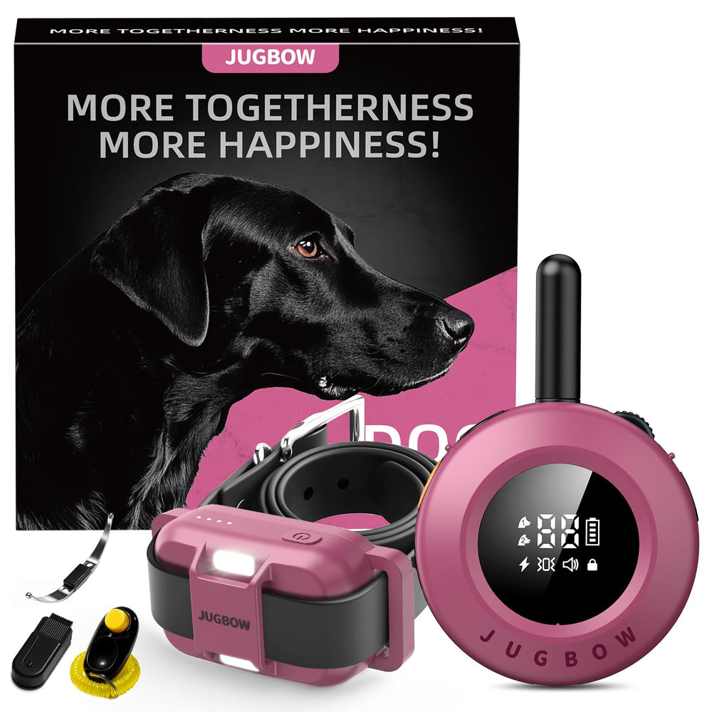 Jugbow dog shock collar on the dog's neck for controlled training at home and outdoors