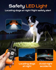 Jugbow dog shock collar remote back view shows adjustable fit and secure buckle.