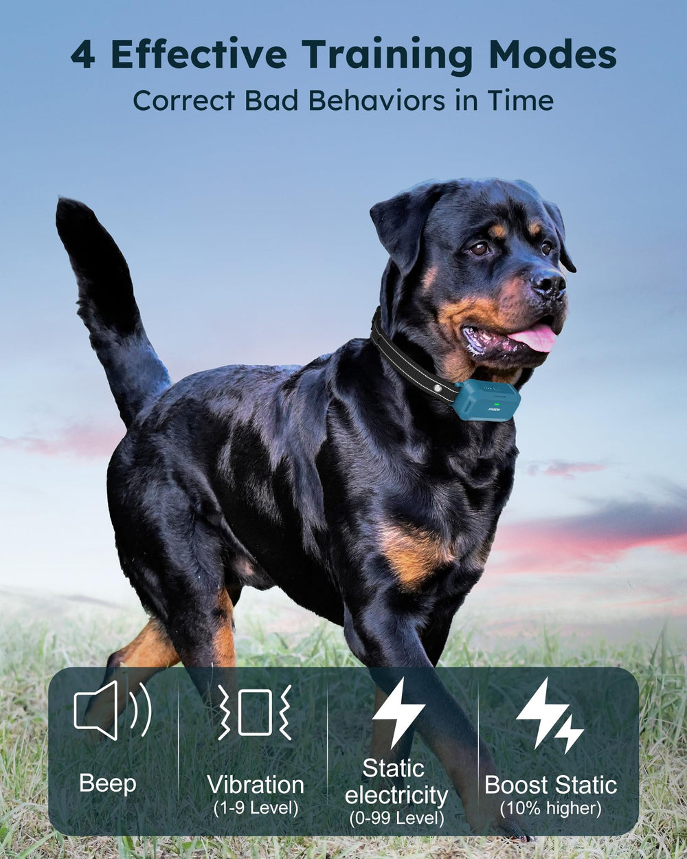 Jugbow dog shock collar remote control demonstrates easy, precise training.