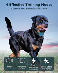 Jugbow dog shock collar remote control demonstrates easy, precise training.