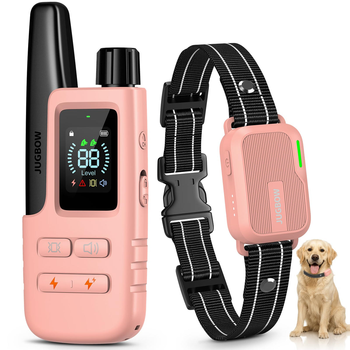 Jugbow dog shock collar with remote used for recall training at home.