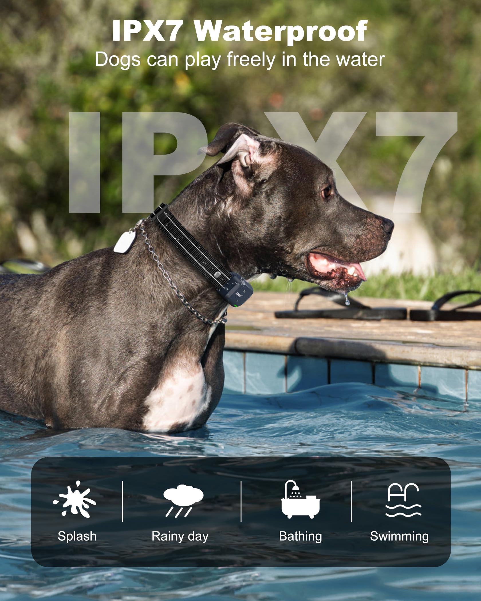 Jugbow collar vibration mode demonstrated for subtle feedback on walks