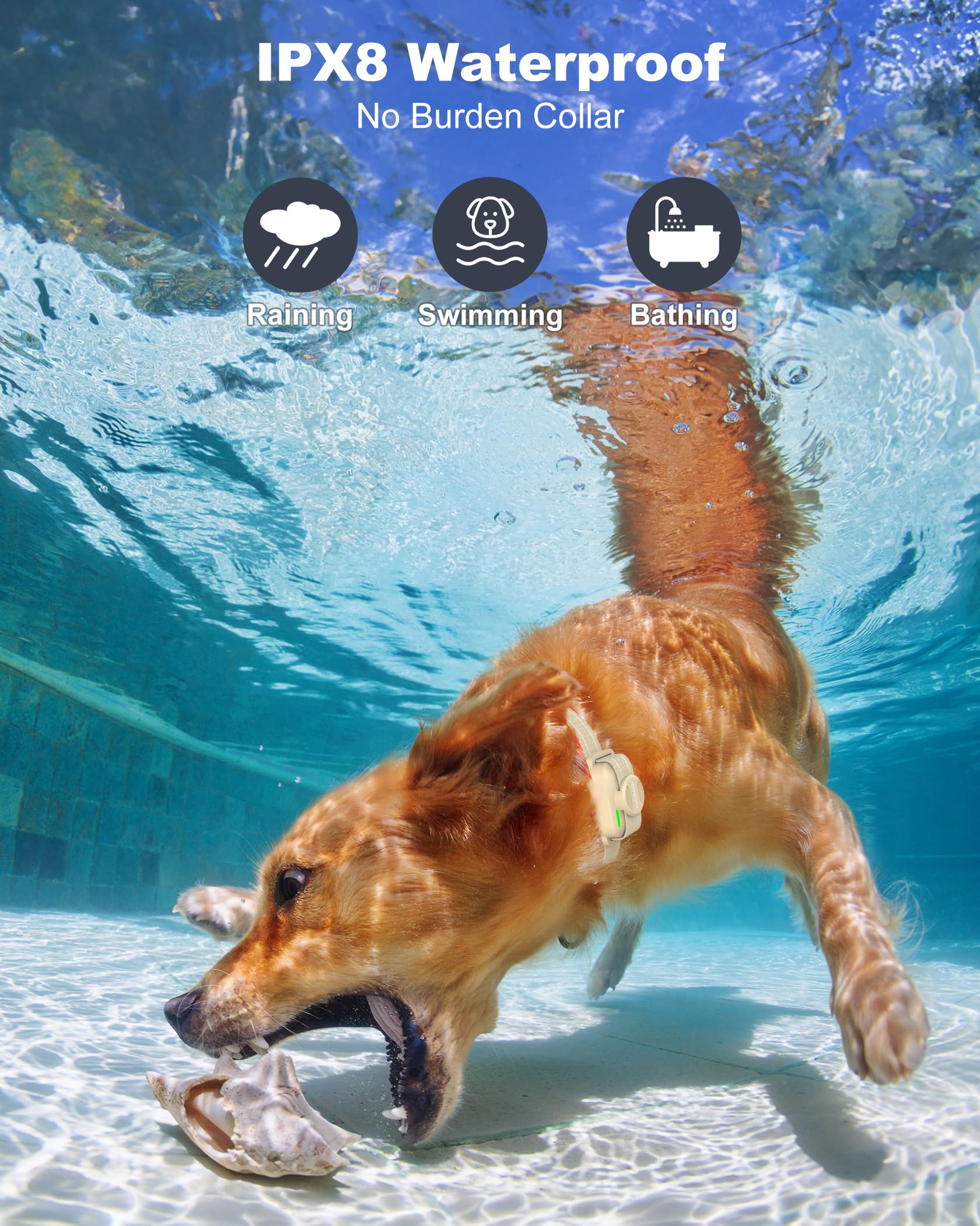 IPX8 waterproof Jugbow collar withstands rain and swims.