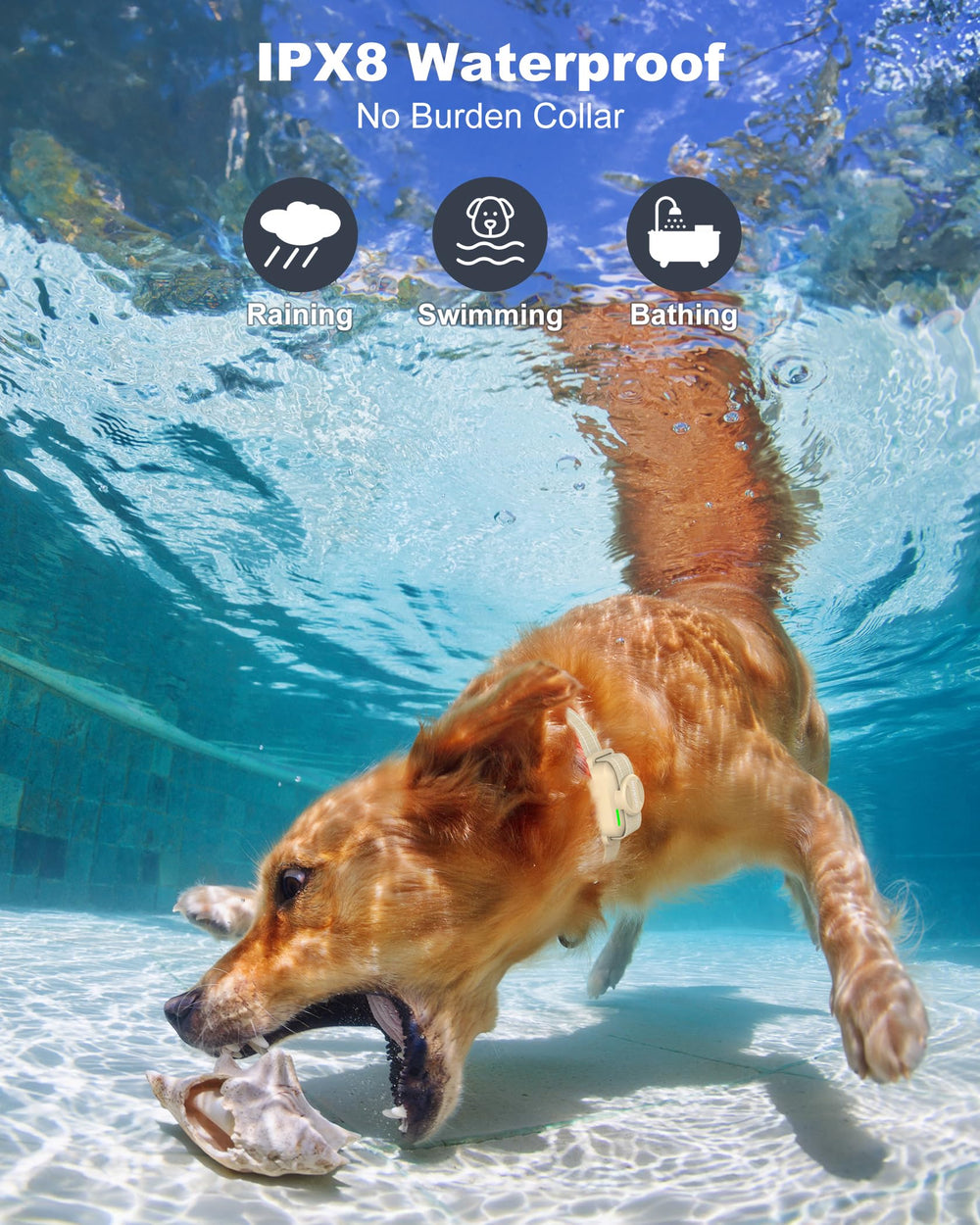IPX8 waterproof Jugbow collar withstands rain and swims.