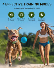 Jugbow remote with dual-channel for training two dogs