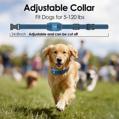 Jugbow four-channel system shows multi-dog training setup for synchronized sessions