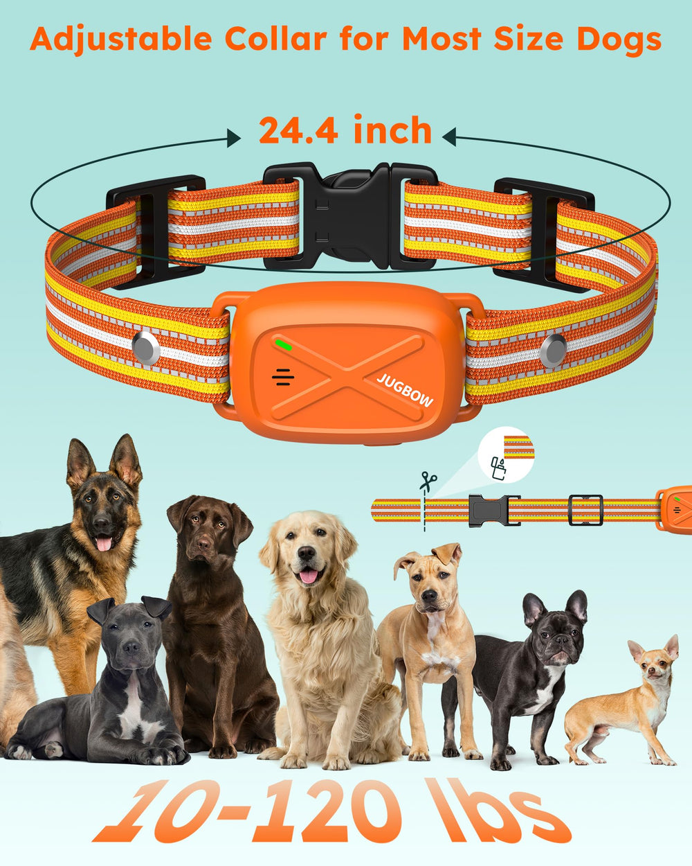 Jugbow IPX7 waterproof collar stands up to rain and splashes during outdoor sessions.