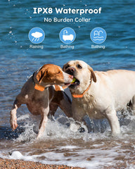 Jugbow IPX8 waterproof collar withstands water during outdoor activities.