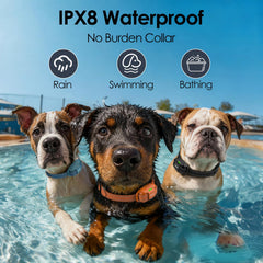 Jugbow lightweight receiver on a dog's neck highlights comfort-fit design