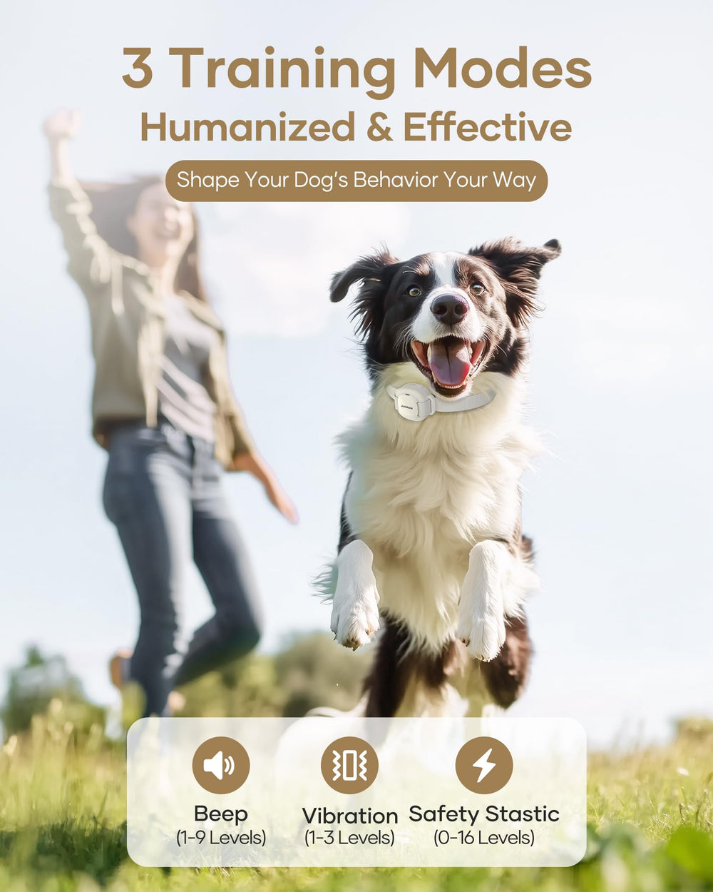 Jugbow three-mode e-collar helps shape behavior safely.