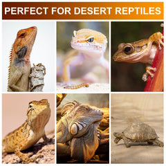 Jugbuy UVB lamp for tortoise terrarium supports healthy enclosure lighting.