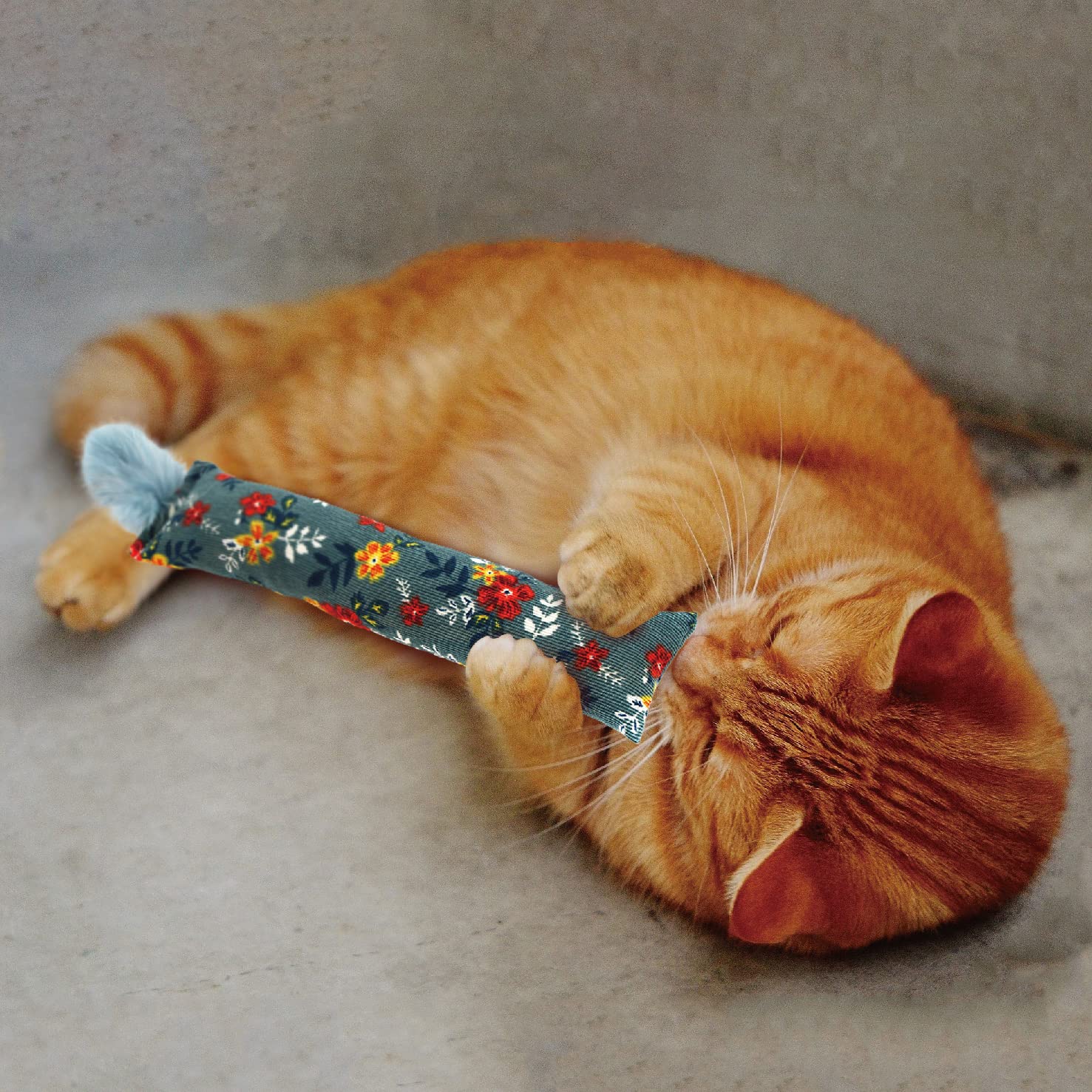 Jumpaws all-ages cat toy for safe indoor fun.