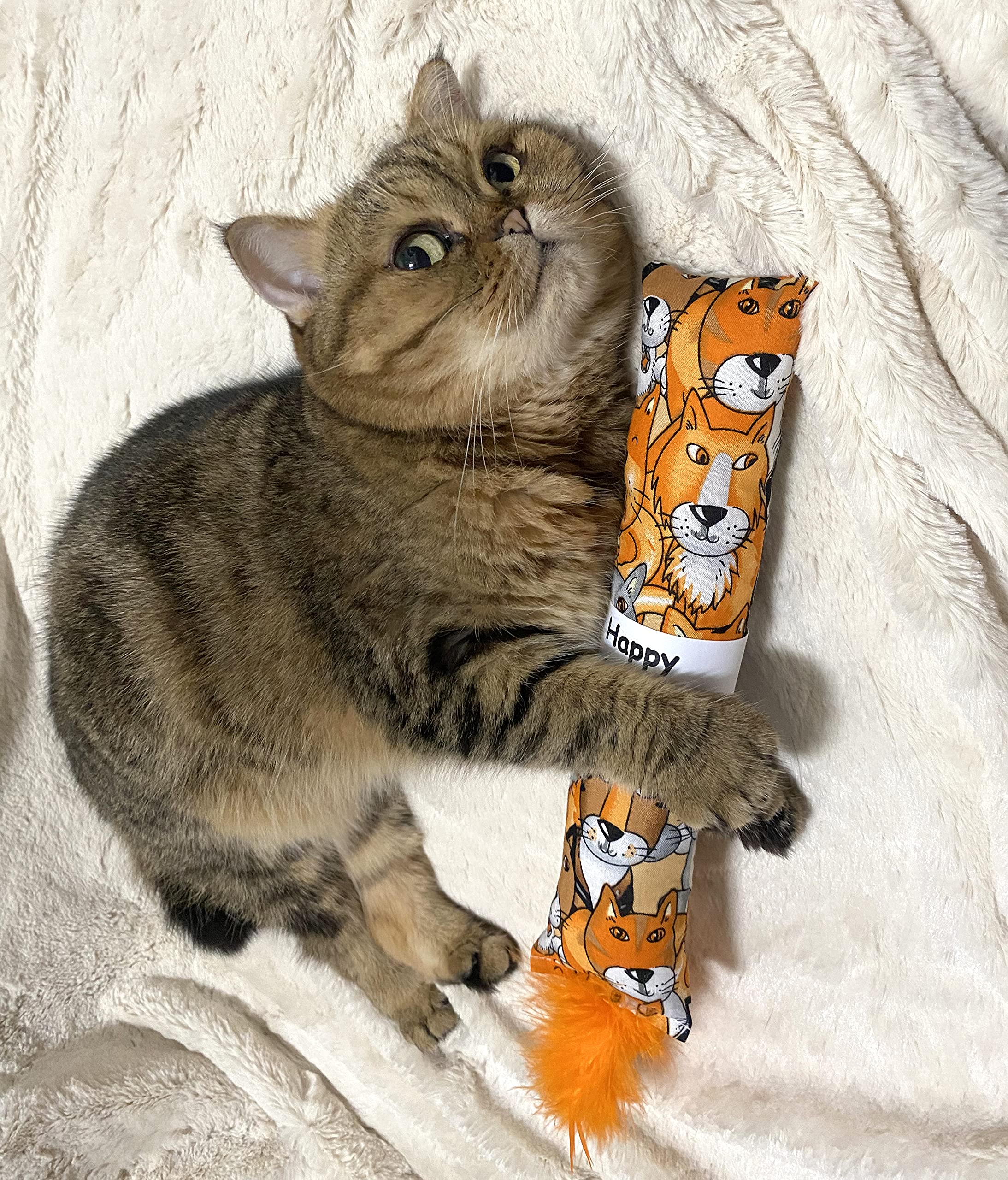 Jumpaws catnip kicker for indoor play supports active cats.