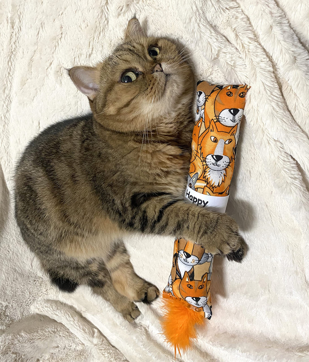 Jumpaws catnip kicker for indoor play supports active cats.