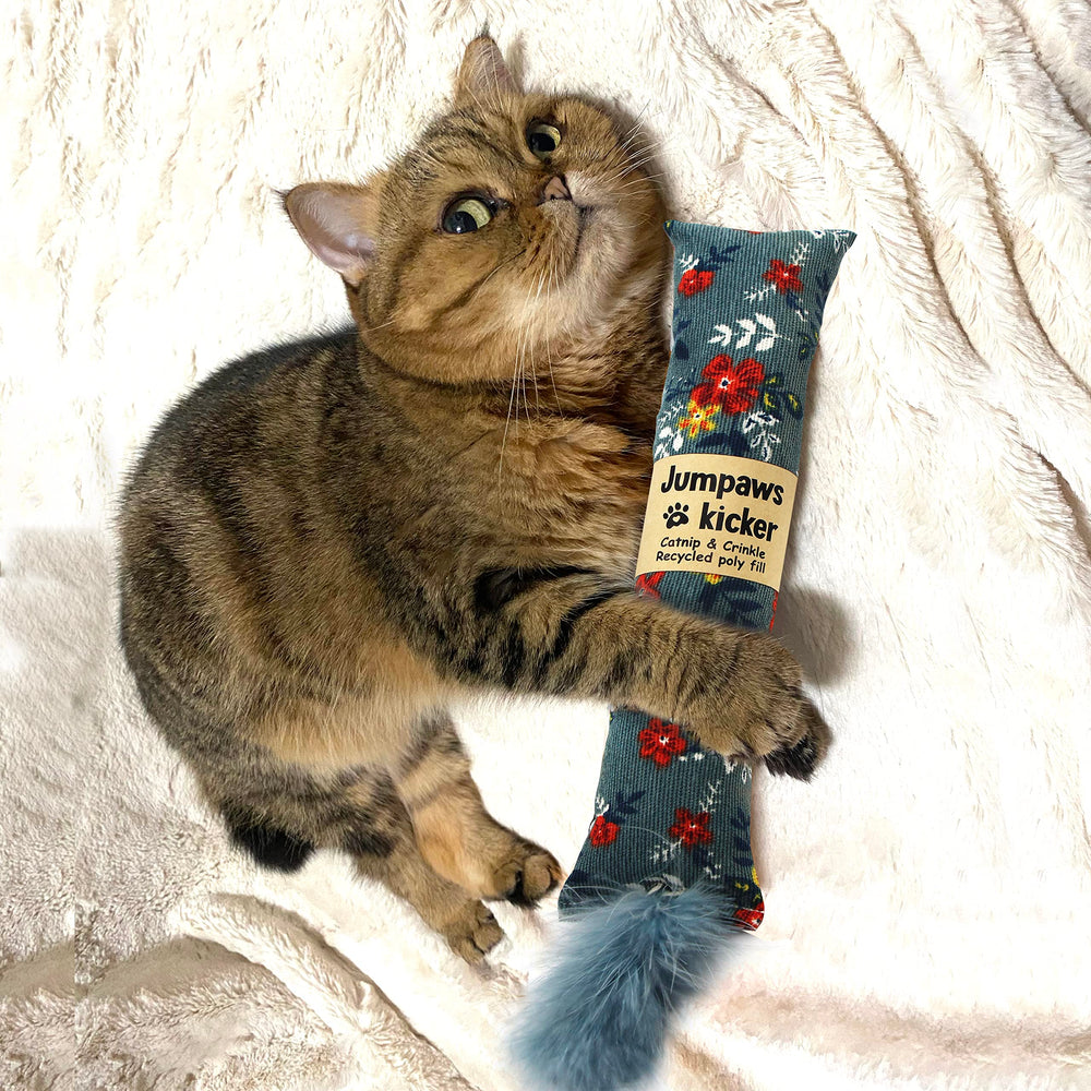Jumpaws crinkle-tail cat toy for sensory engagement.