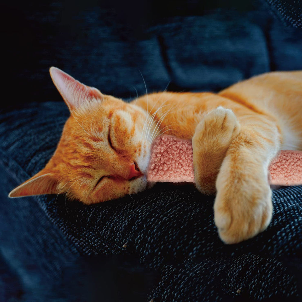 Jumpaws patterns and feathers attract attention for safe, energy-burning play.