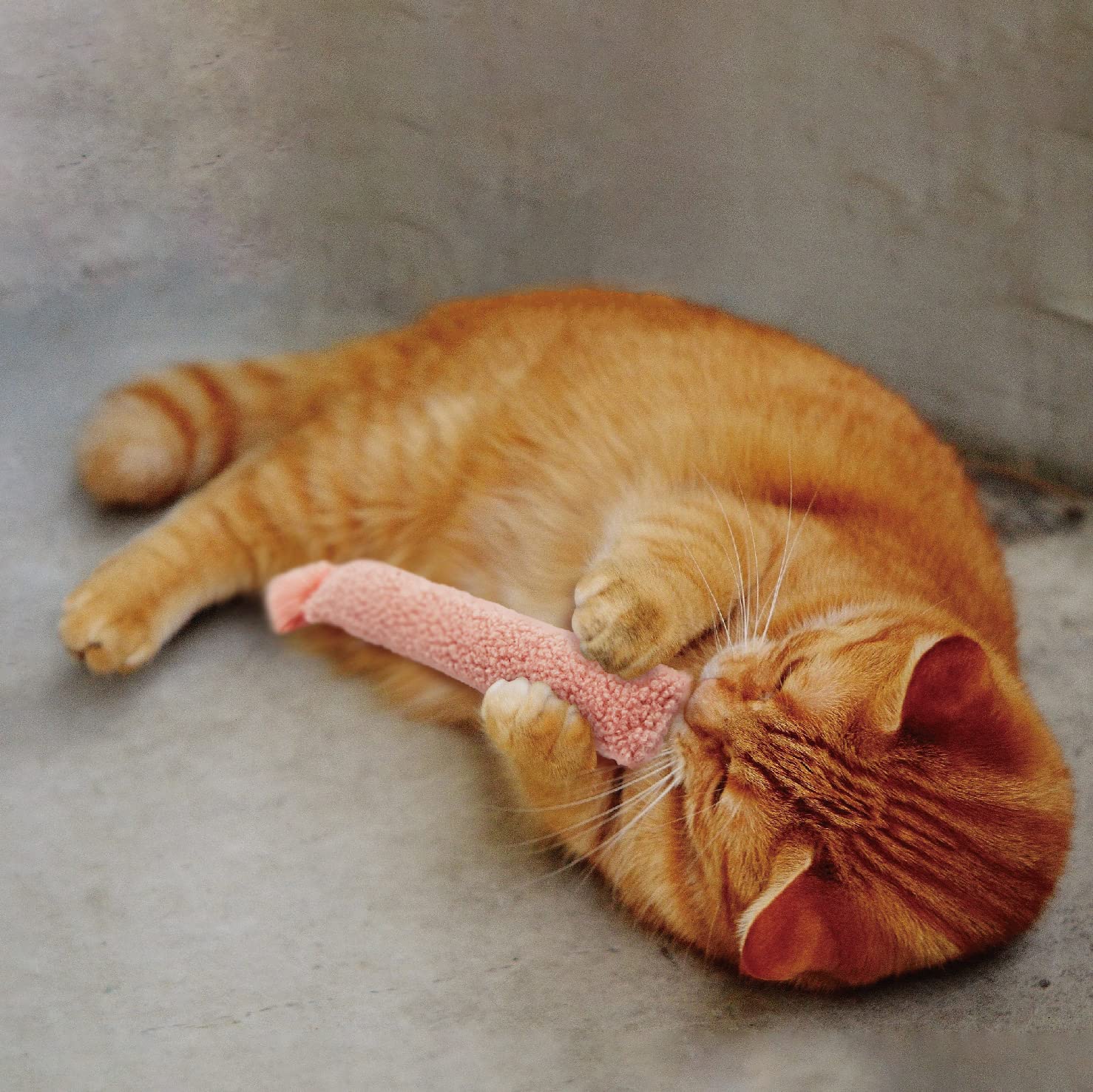 Jumpaws two-pack catnip kicker set adds variety for ongoing fun.