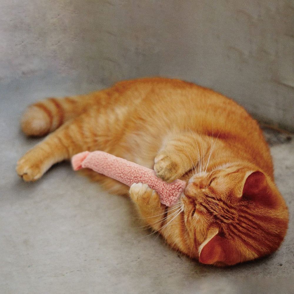 Jumpaws two-pack catnip kicker set adds variety for ongoing fun.