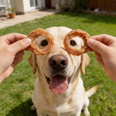 Close-up of Jungle Calling Chicken Rings jerky showing crunchy texture for a high-protein bite.