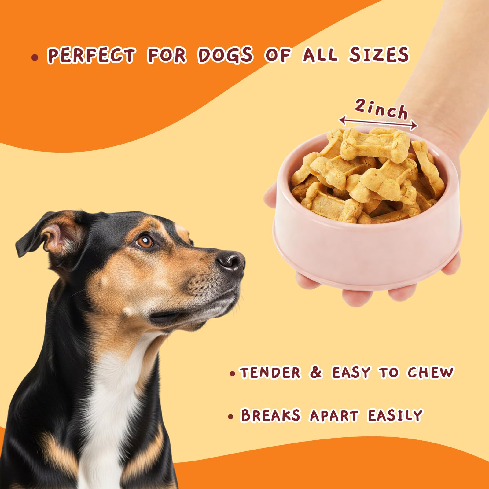 Jungle Calling digestive-support-treat promotes easy digestion during training moments.