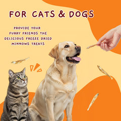 Jungle Calling grain-free treats showcase natural fish flavor without fillers.