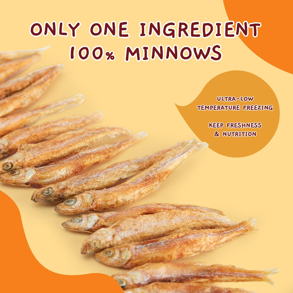 Jungle Calling minnow treat closeup highlights crunchy texture and protein-rich snack.