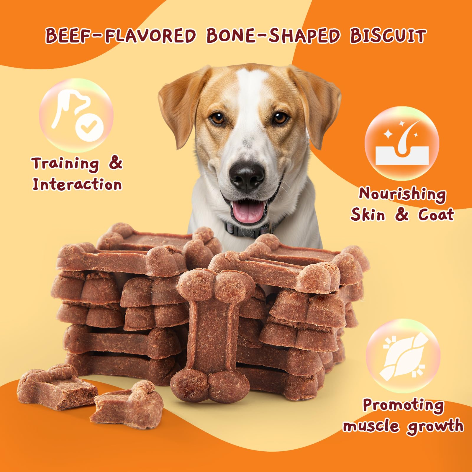 Jungle Calling no rawhide biscuits: a safer chew option for daily use