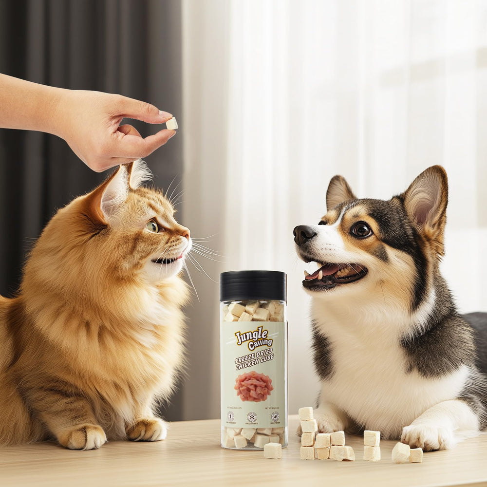 Take Jungle Calling jar on the go for convenient pet snacks.