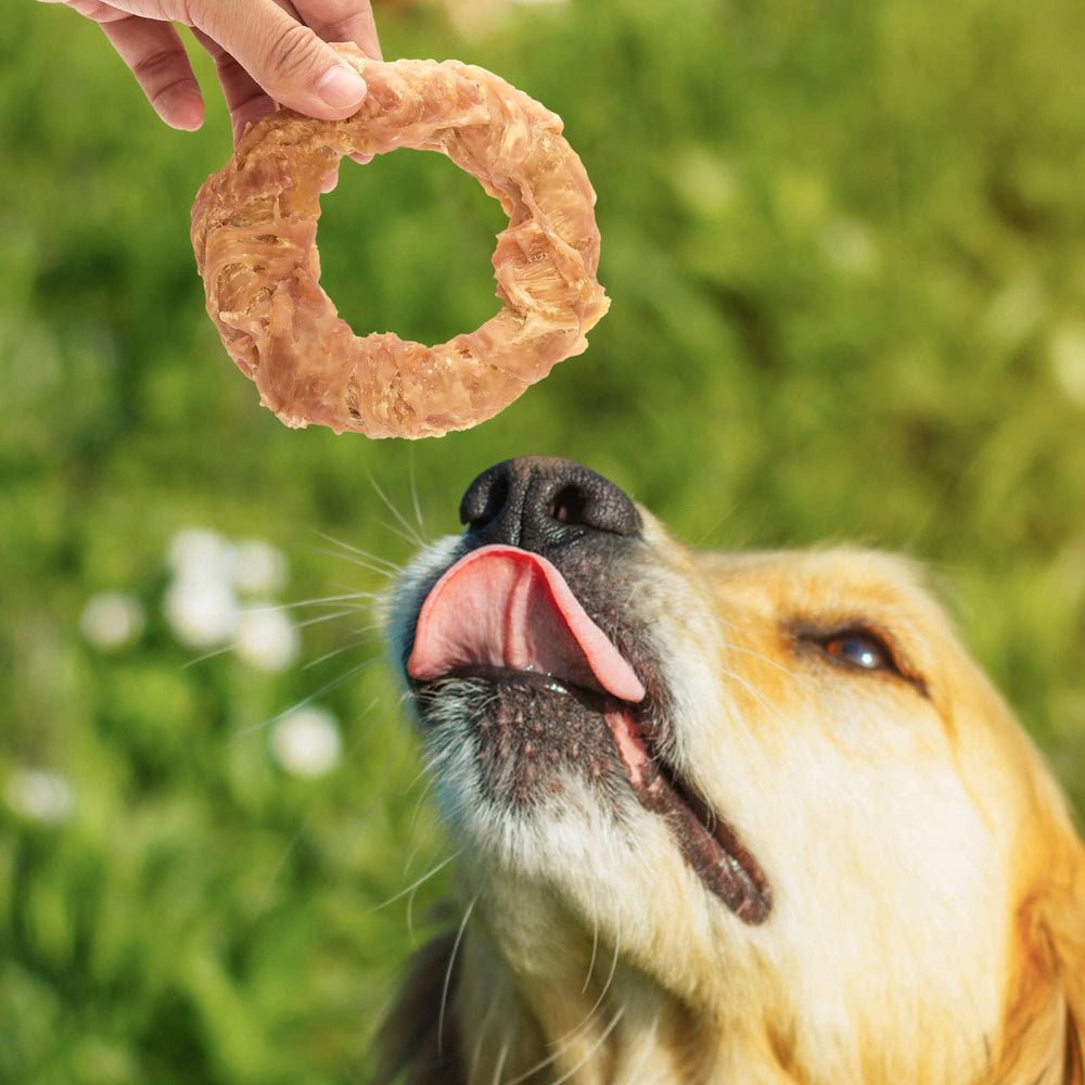 Jungle Calling Reward Snack during training sessions.