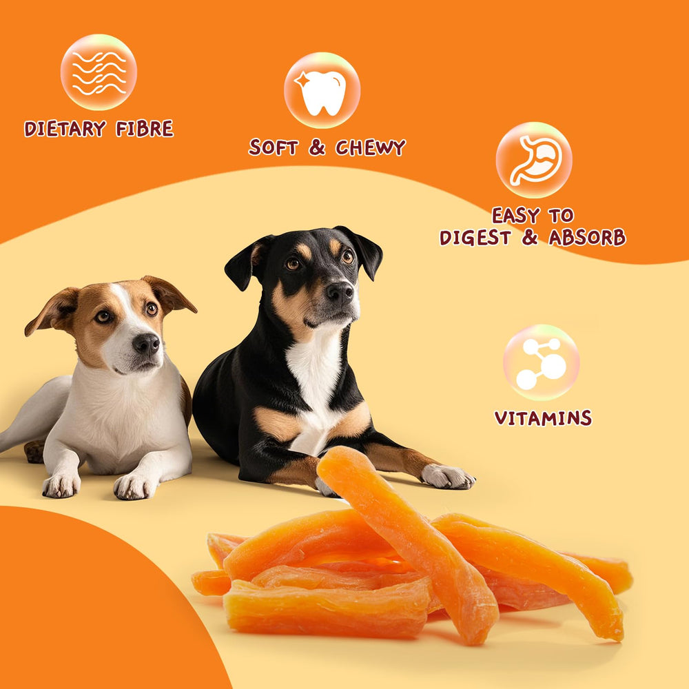 Jungle Calling training reward option encourages positive reinforcement during walks.