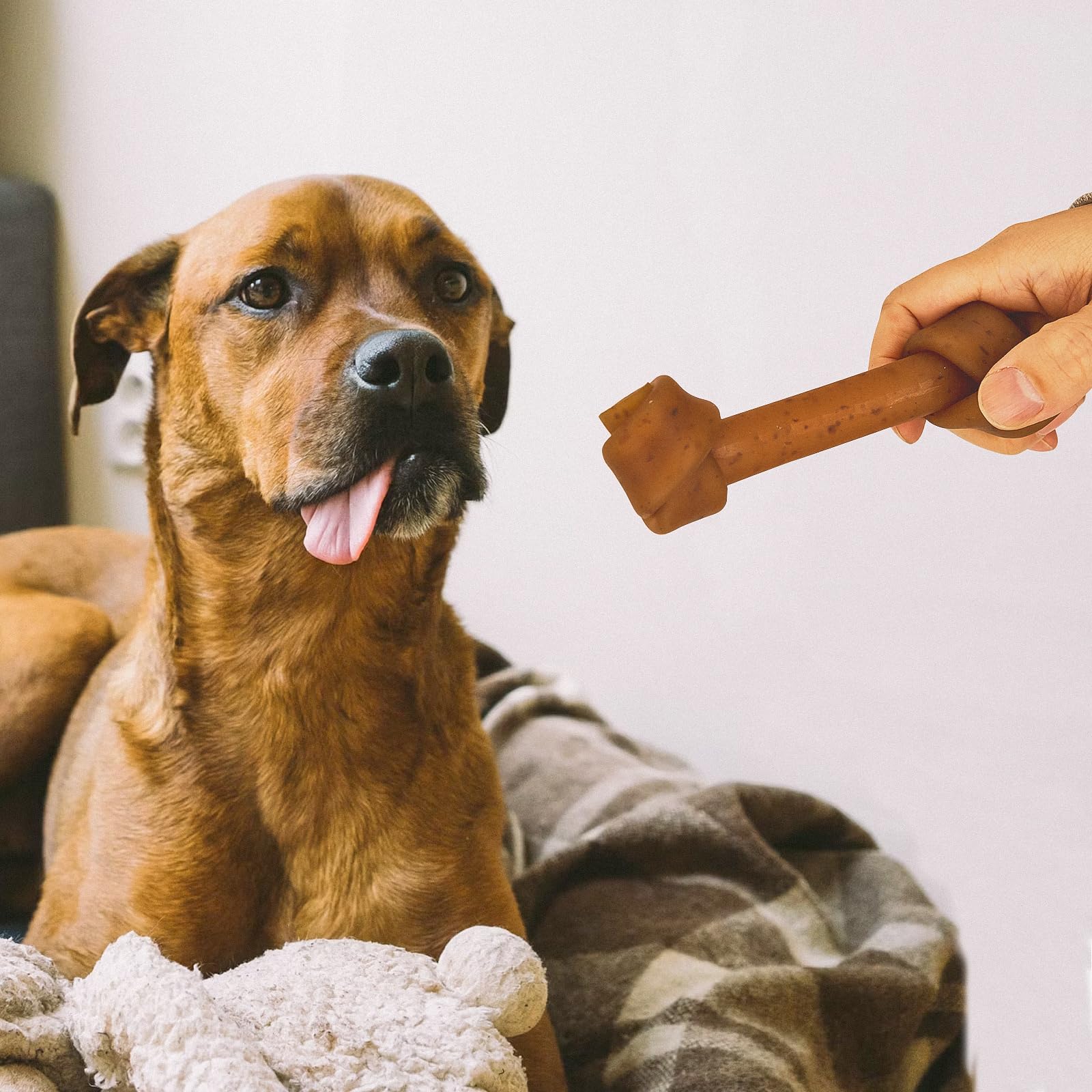 Jungle Calling 4-count pack offers value and consistent chew enjoyment.