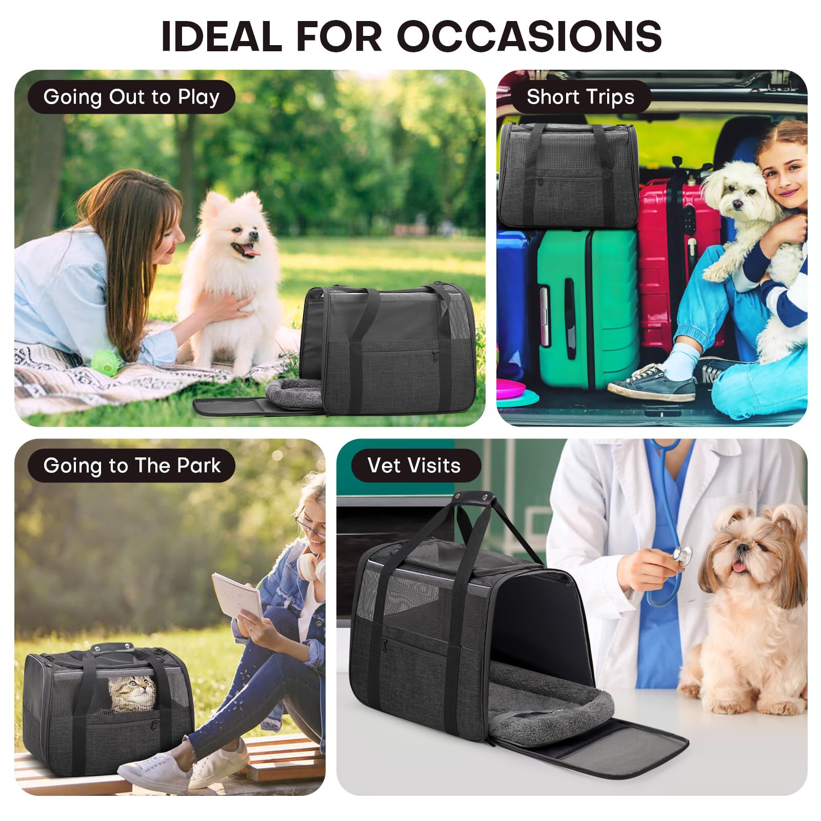 JUNGYOON Premium Cat Carrier with 3-sided mesh for airflow and visibility.