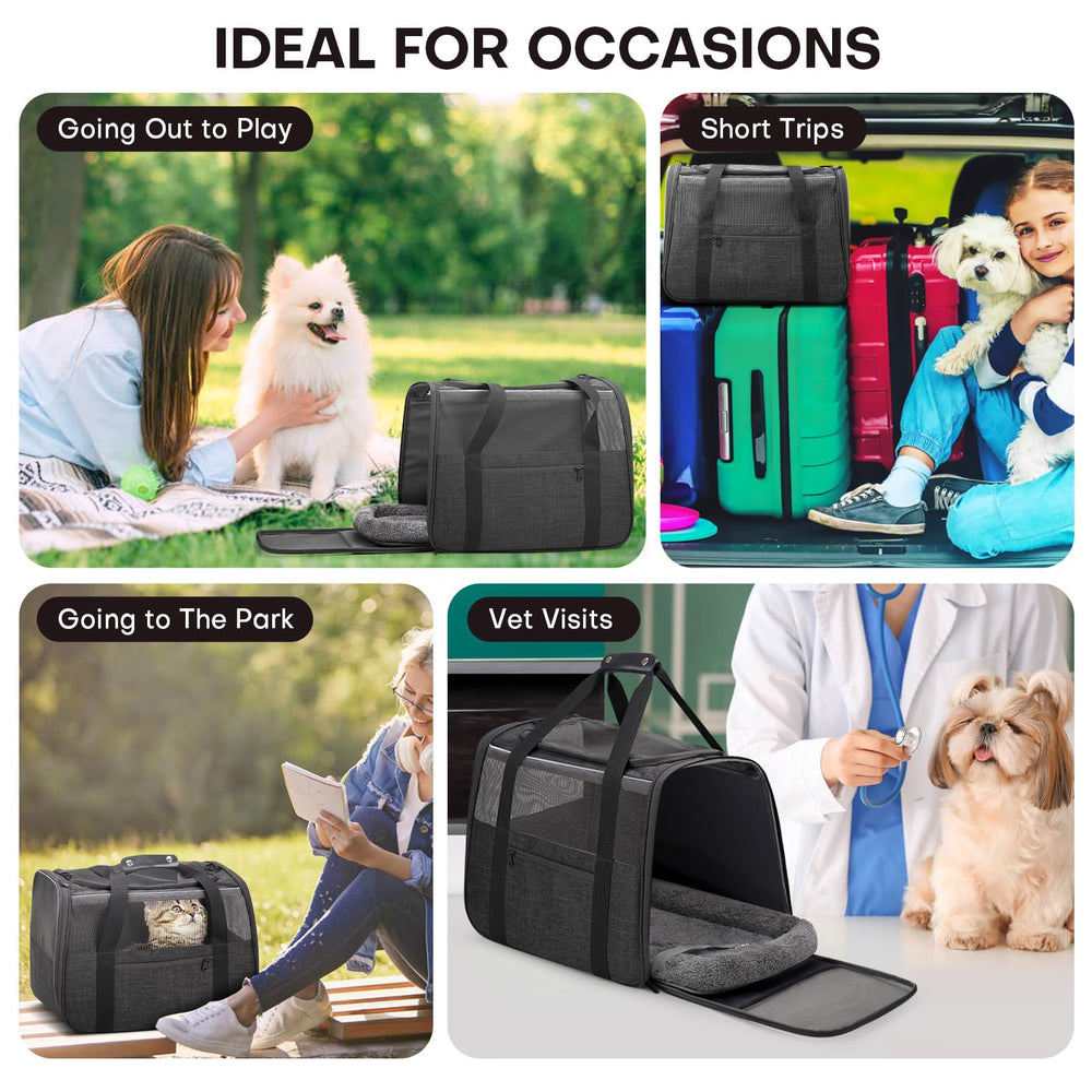 JUNGYOON Premium Cat Carrier with 3-sided mesh for airflow and visibility.