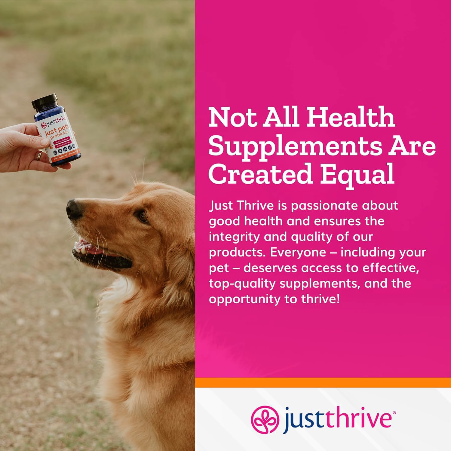 Just Thrive Just Pets Probiotic packaging demonstrates digestive support potential.