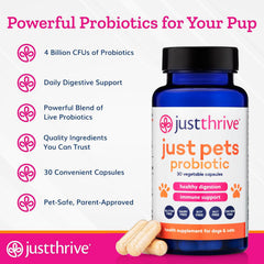 Just Thrive Just Pets Probiotic capsules ready for dogs and cats' daily routine.