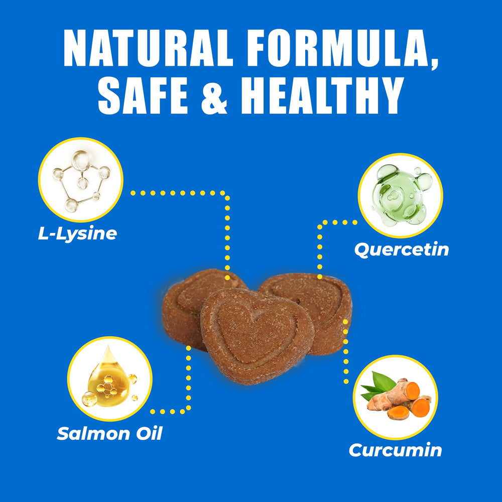 Just Try 300 Bites ingredients list features L-Lysine and Quercetin for skin health.
