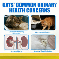 Just Try 300 Bites chicken-flavored cat treats for urinary health.